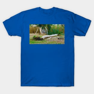 Uprooted T-Shirt